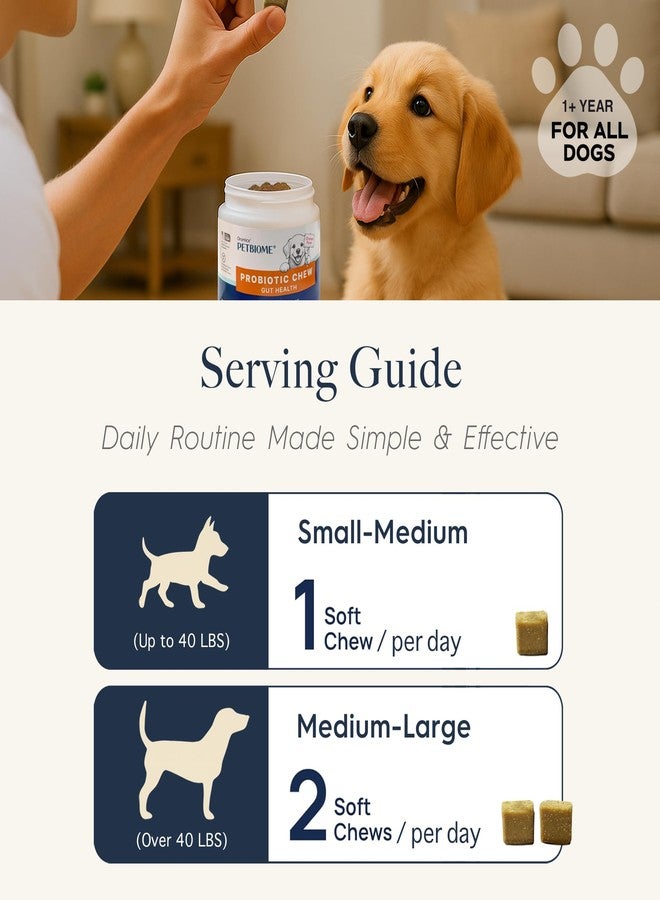Oraticx PetBiome Probiotic Chew for Dogs - Supports Daily Digestive Health, Gut Balance, and Immune System - with Ginger Root, and Pumpkin Seed - Chicken Flavor, 90 Soft Chews - Image 3